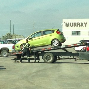 10383006_10152662721309171_274438477794558083_n