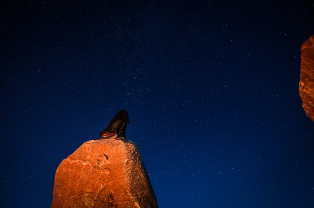 14045728_10154573292664171_416880536988129200_n